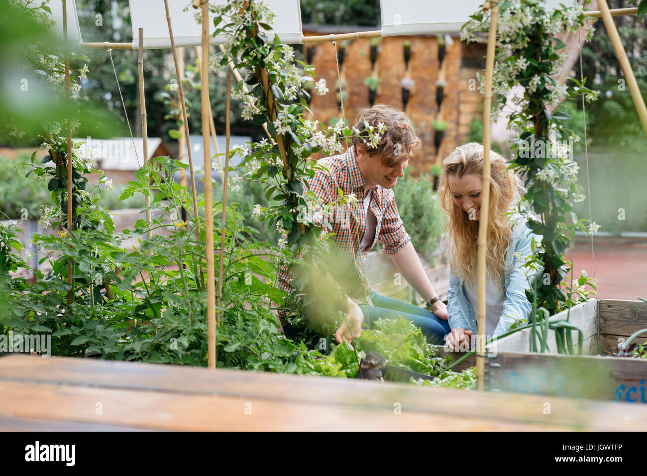 Giovane uomo e donna tendente a piante che crescono in lattine in giardino urbano Foto Stock