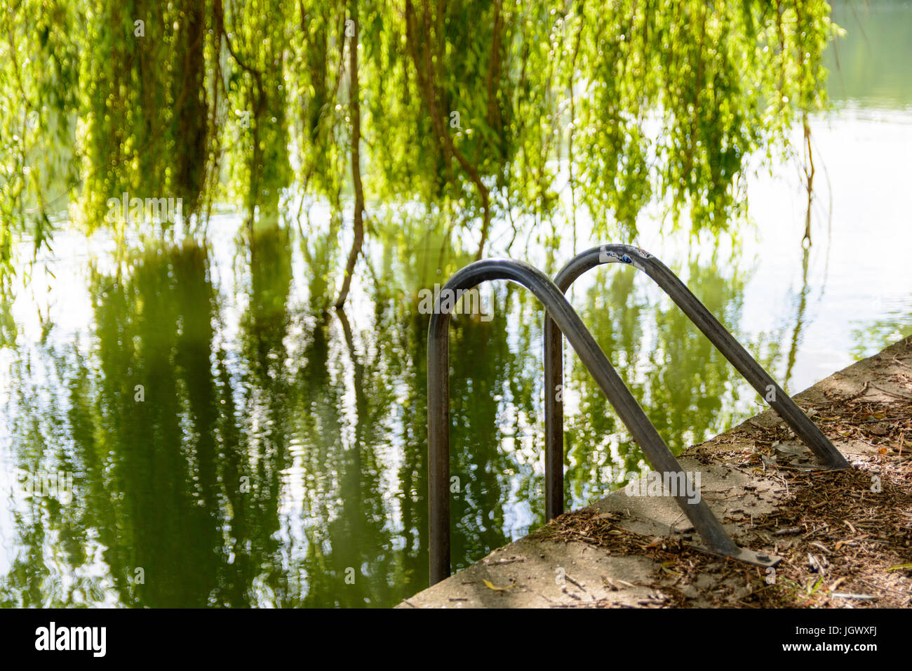 Una fuga di emergenza scala sul dock di un fiume con un salice piangente albero in background. Foto Stock