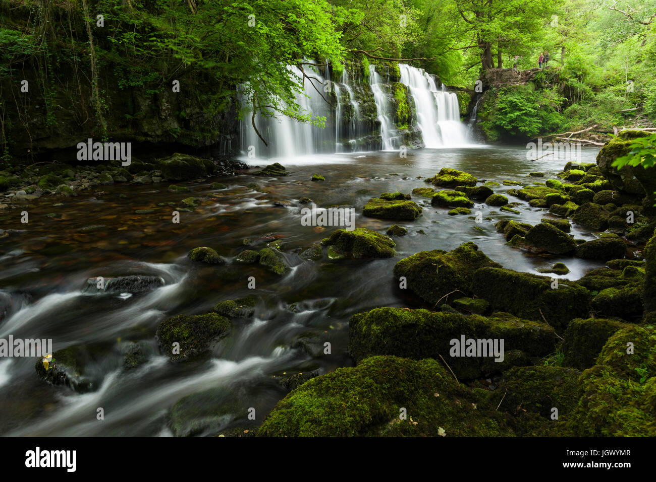 Sgwd y Pannwr (la cascata del Fuller) sul fiume Afon Mellte nel Parco nazionale Bannau Brycheiniog (Brecon Beacons) vicino a Ystradfellte, Powys, Galles. Foto Stock