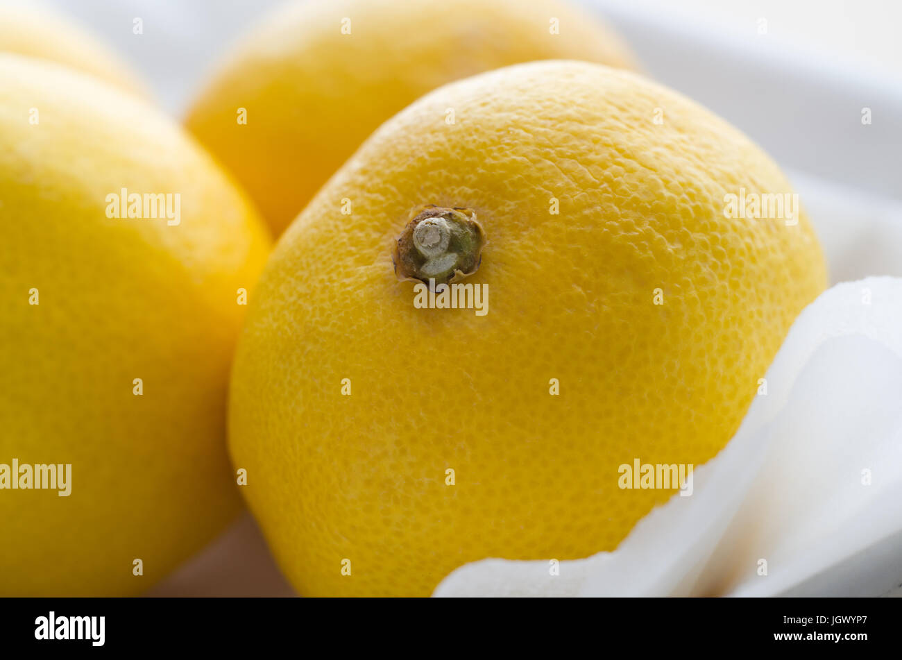 Chiudere il gruppo di limoni, disposto in un piatto di frutta su carta pergamena colore bianco nel luminoso e luce naturale. Foto Stock