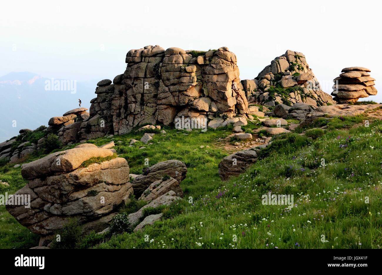 Shijiazhuang cinese nella provincia di Hebei. 10 Luglio, 2017. Un turista in visita il campo di pietra sulla cima della montagna Bingshanliang nella contea di Chicheng, nel nord della Cina di nella provincia di Hebei, 10 luglio 2017. Sulla cima della montagna Bingshanliang ad una altitudine di oltre duemila metri, vi sono una serie di picchi e rocce di tutte le forme come le rare Mesozoico resti glaciale. La montagna è costituita principalmente da granito, calcare e basalto. Credito: Yang Shiyao/Xinhua/Alamy Live News Foto Stock