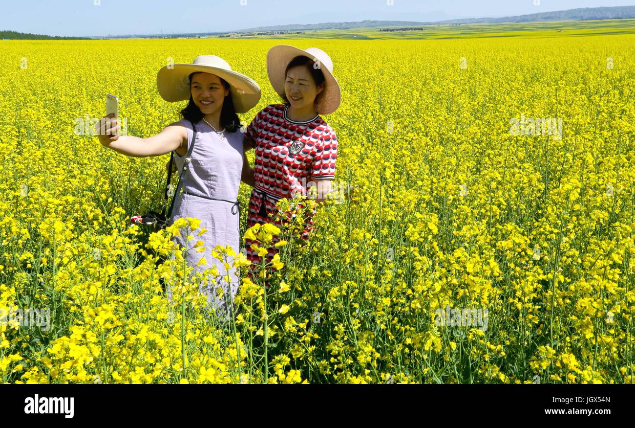 Zhangye, la Cina della provincia di Gansu. 11 Luglio, 2017. Turisti visitano cole fiori in Minle contea di Zhangye City, a nord-ovest della Cina di Provincia di Gansu, luglio 11, 2017. Blooming cole fiori nella Contea attira molti turisti. Credito: Wang Jiang/Xinhua/Alamy Live News Foto Stock