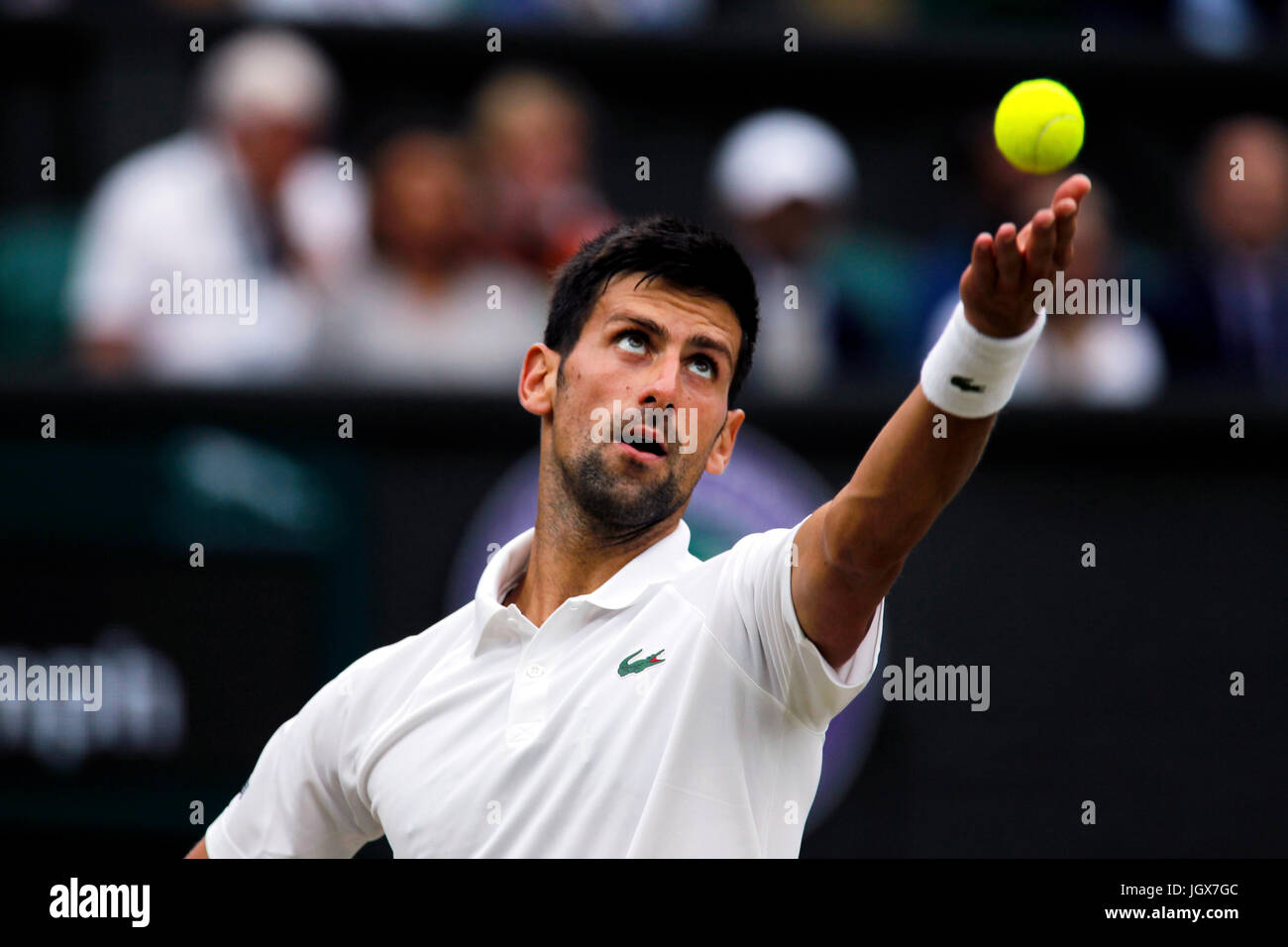 Londra, Regno Unito. 11 Luglio, 2017. Numero 2 seme, Novak Djokovic durante il suo quarto round match contro Adrian Mannarino della Francia il martedì a Wimbledon. Djokovic ha vinto la partita. Credito: Adam Stoltman/Alamy Live News Foto Stock