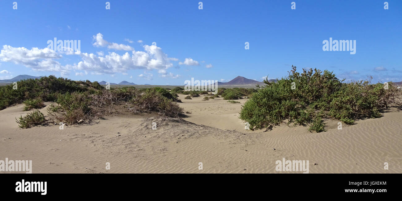 Sandduenen am playa de san juan, la caleta de Famara, Lanzarote, kanarische isole, europa | dune di sabbia a Playa de san juan, la caleta de Famara, lan Foto Stock