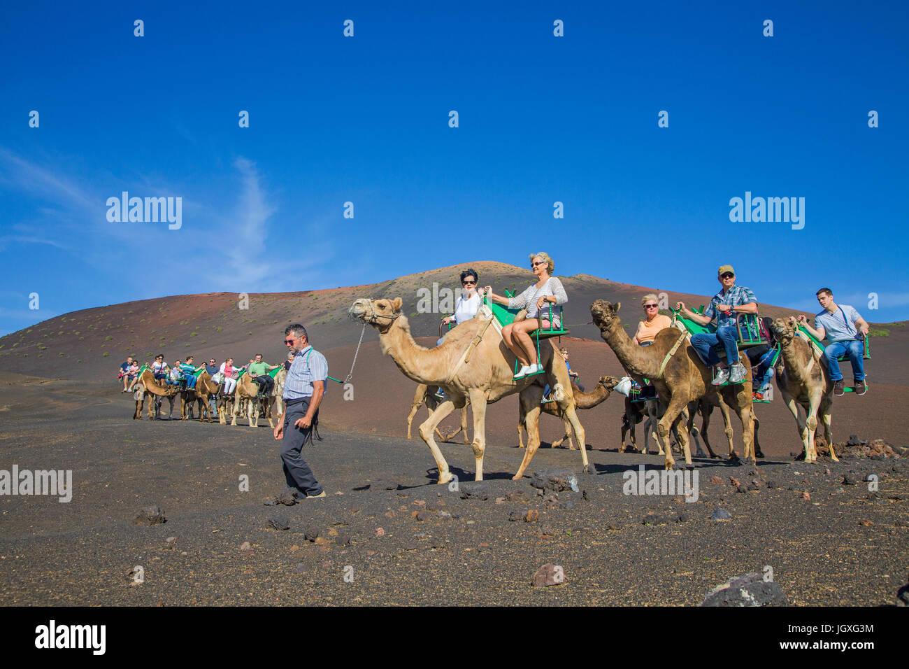 Touristen auf dromedaren, einhoeckriges kamel (camelus dromedarius) im nationalpark Timanfaya, Lanzarote, kanarische isole, Europa | i turisti su drom Foto Stock