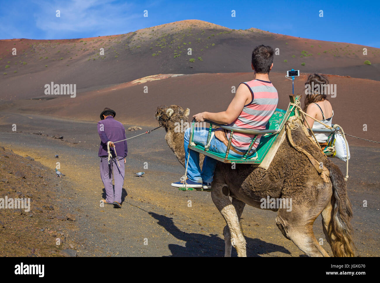 Touristen mit selfie-stick auf dromedar, einhoeckriges kamel (camelus dromedarius) im nationalpark Timanfaya, Lanzarote, kanarische isole, europa | t Foto Stock