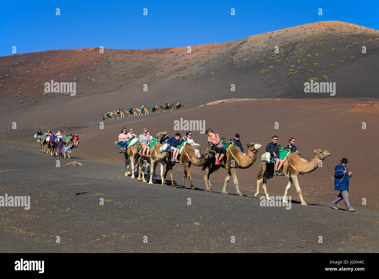 Touristen auf dromedaren, einhoeckriges kamel (camelus dromedarius) auf den feuerbergen, montanas del fuego, nationalpark Timanfaya, Lanzarote, kanari Foto Stock