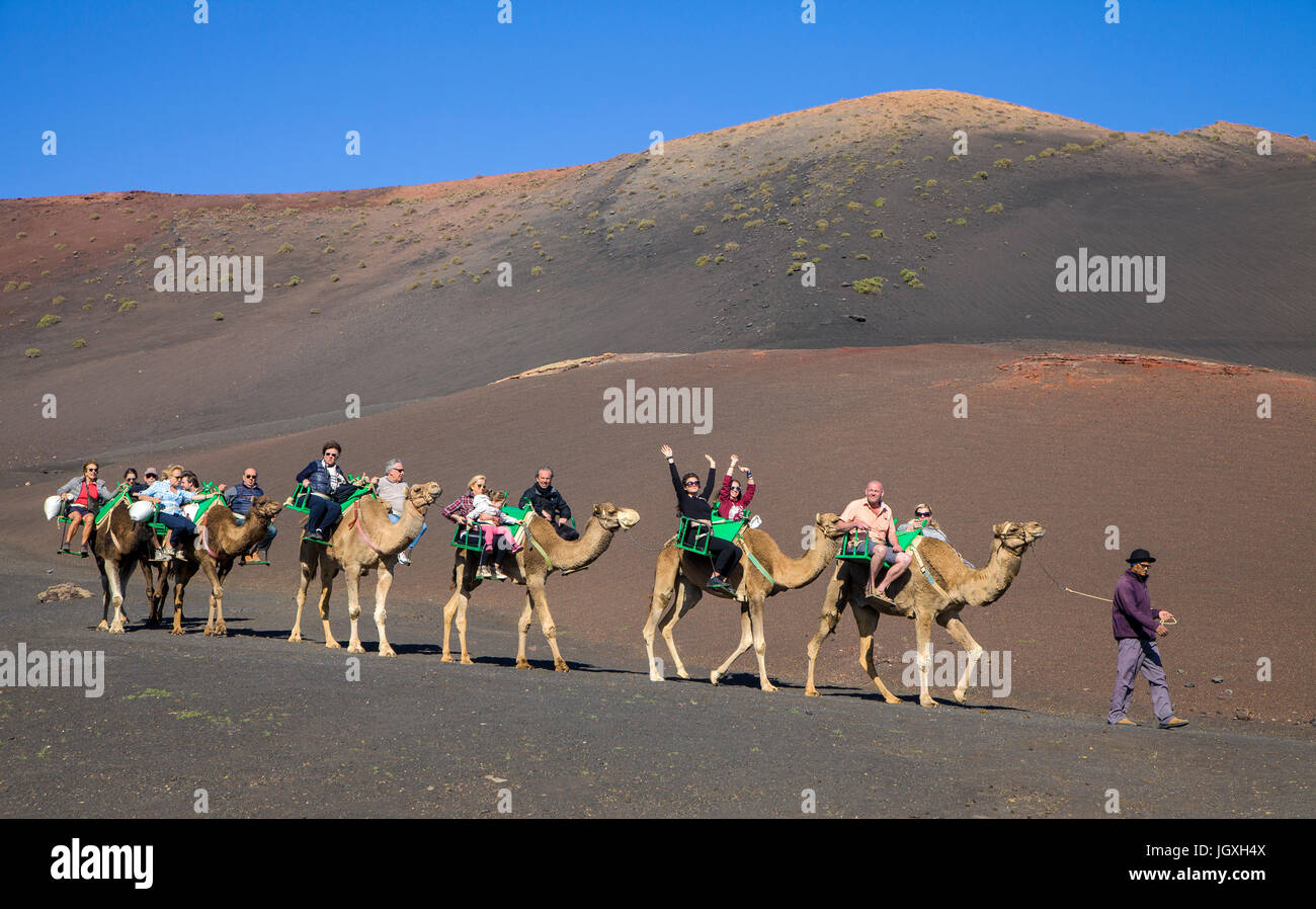 Touristen auf dromedaren, einhoeckriges kamel (camelus dromedarius) auf den feuerbergen, montanas del fuego, nationalpark Timanfaya, Lanzarote, kanari Foto Stock
