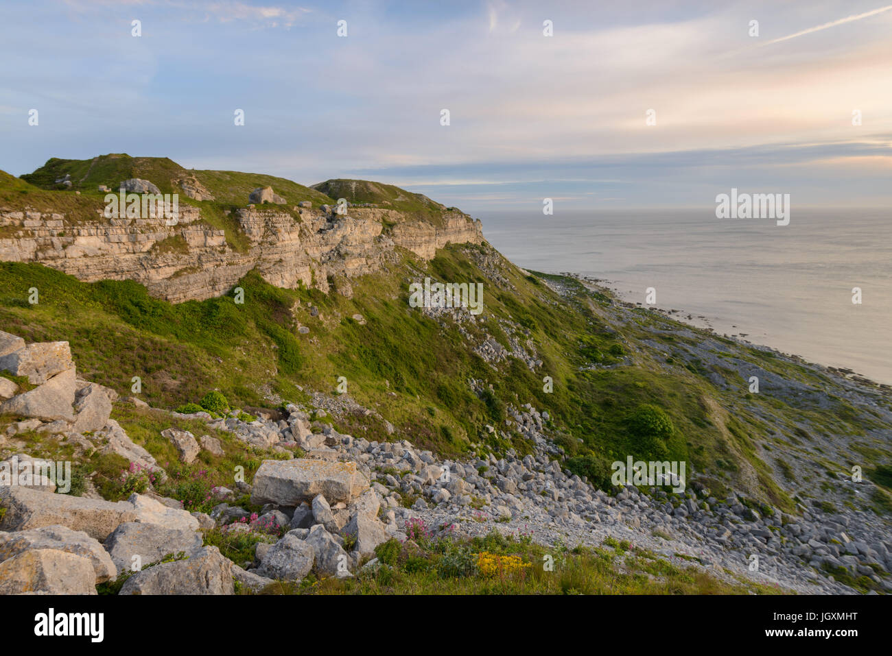 Luce della Sera bagna il West scogliere di Portland nel Dorset, England, Regno Unito Foto Stock