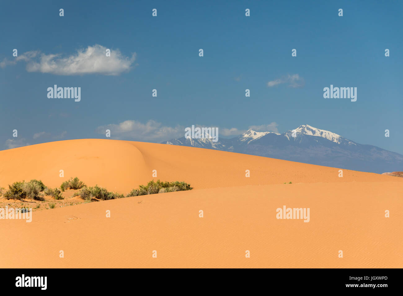 Le dune di sabbia del deserto dipinto con vista verso il San Francisco Peaks, nothern Arizona, Stati Uniti d'America Foto Stock