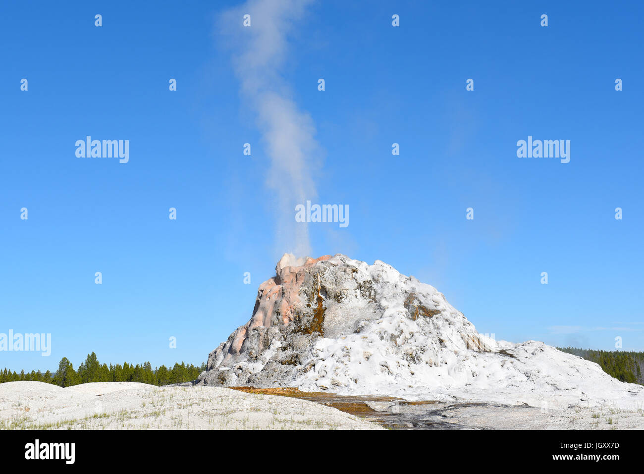Cupola Bianca Geyser con un cono vecchi di secoli è uno dei più grandi nel Parco Nazionale di Yellowstone. Il suo 12-piede-alta geyserite cono è uno dei più grandi i Foto Stock