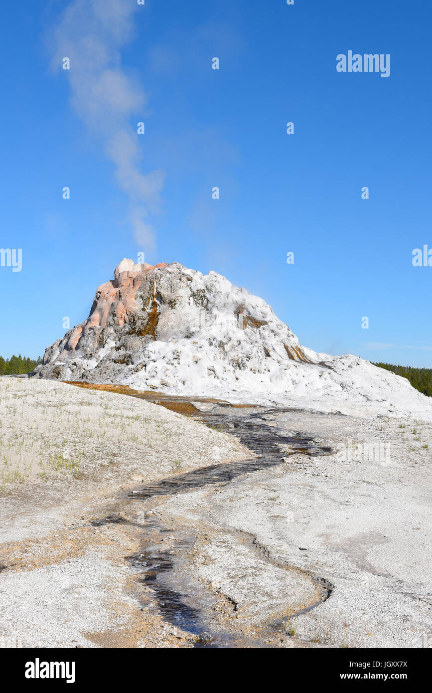 Cupola Bianca Geyser con un cono vecchi di secoli è uno dei più grandi nel Parco Nazionale di Yellowstone. Il suo 12-piede-alta geyserite cono è uno dei più grandi i Foto Stock