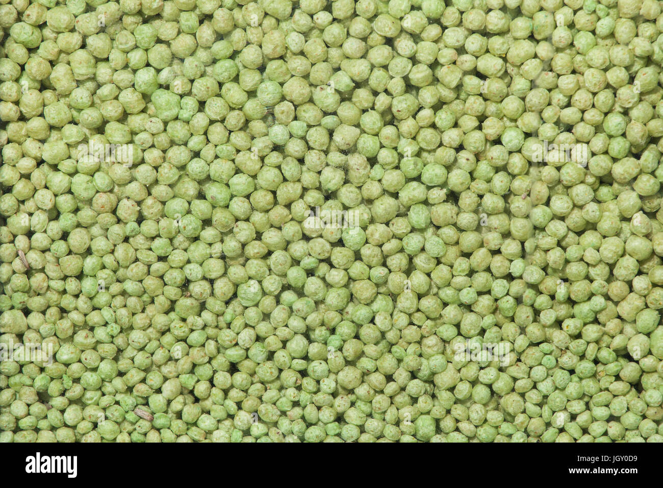 Alimenti per animali pellet. Texture di sfondo. Foto Stock