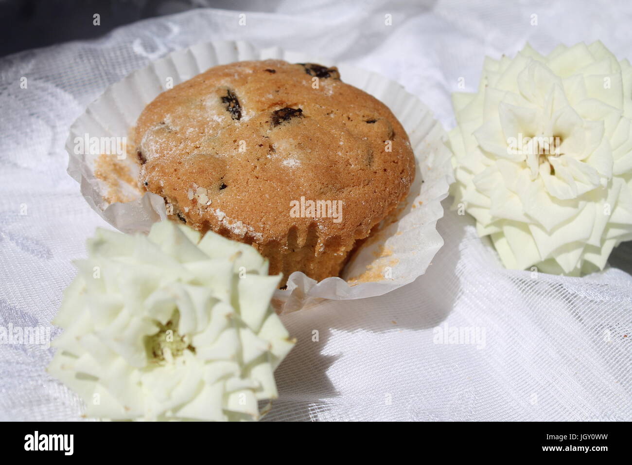 Bella muffin appetitosi con uva passa nel vaso bianco con rose bianche tentazione nel cibo Foto Stock Bella muffin appetitosi con uva passa nel vaso bianco con rose bianche tentazione nel cibo Foto Stock