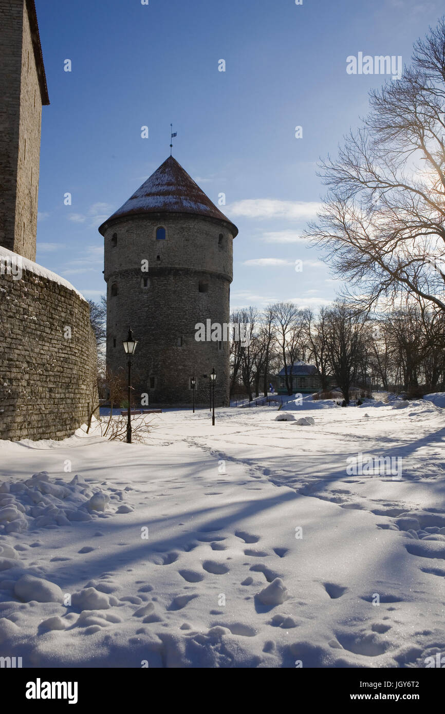 Un distese innevate del parco con il Kiek in de Kök, un cannone medievale torre al di là, Tallinn, Harjumaa, Estonia Foto Stock