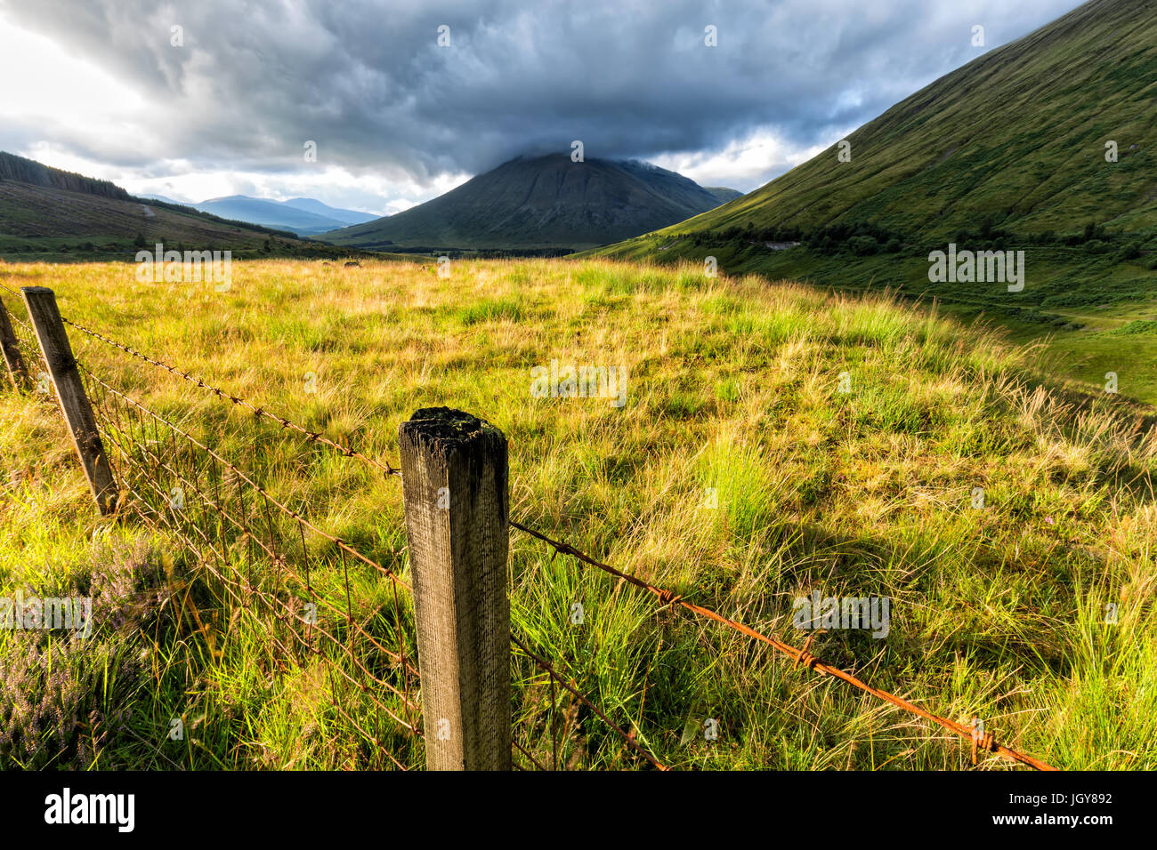 Fencepost con Beinn Dorain e Beinn Odhar nella distanza. Foto Stock