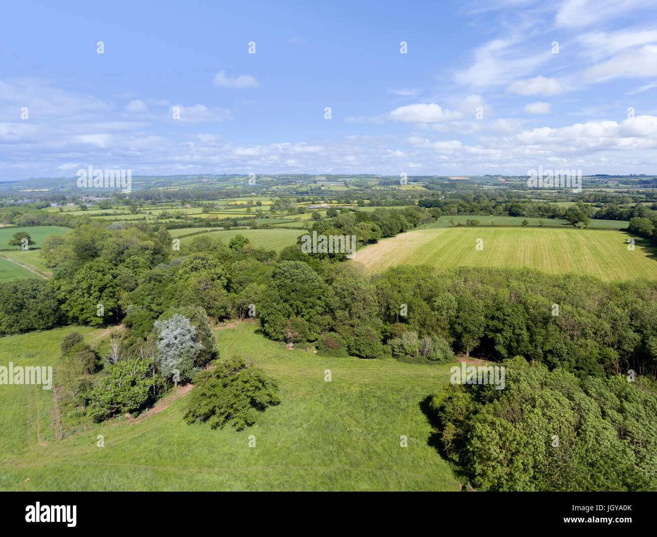 Vista aerea dei campi di coltivazione, verdi pascoli, prati su un bordo del bosco, in un inglese un paesaggio rurale, Cotswolds, su una soleggiata giornata estiva. Foto Stock