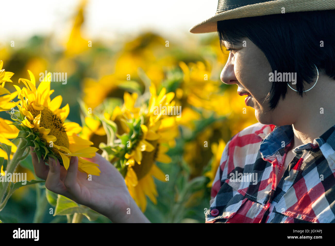 Chiudere op agricoltore femmina, un agronomo di professione, è nel campo di girasoli. Esamina la qualità dei semi di girasole Foto Stock
