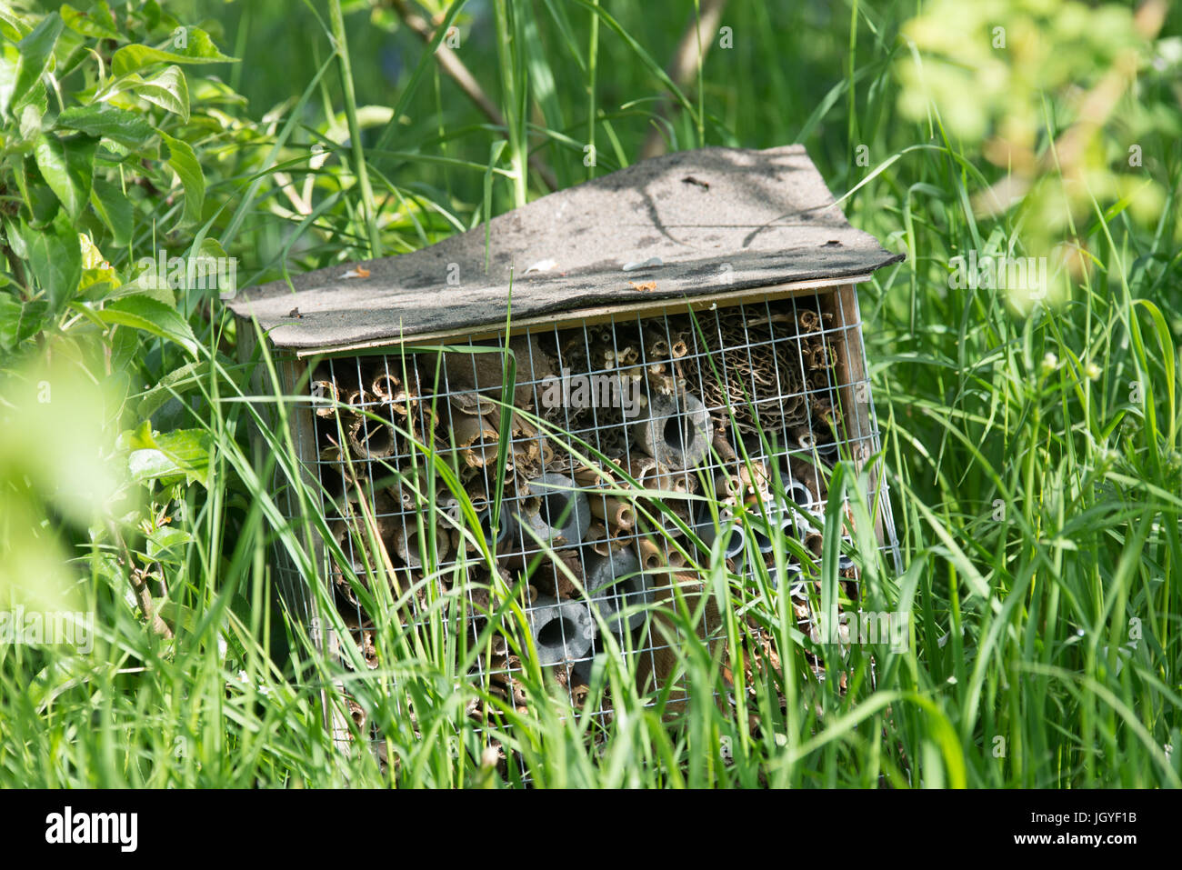 Piccolo bug hotel posizionato in un campo Foto Stock