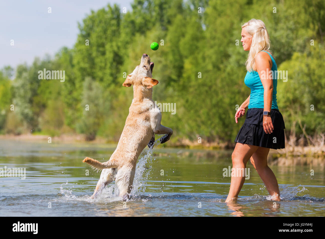 La donna gioca con un labrador cane nel lago Foto Stock
