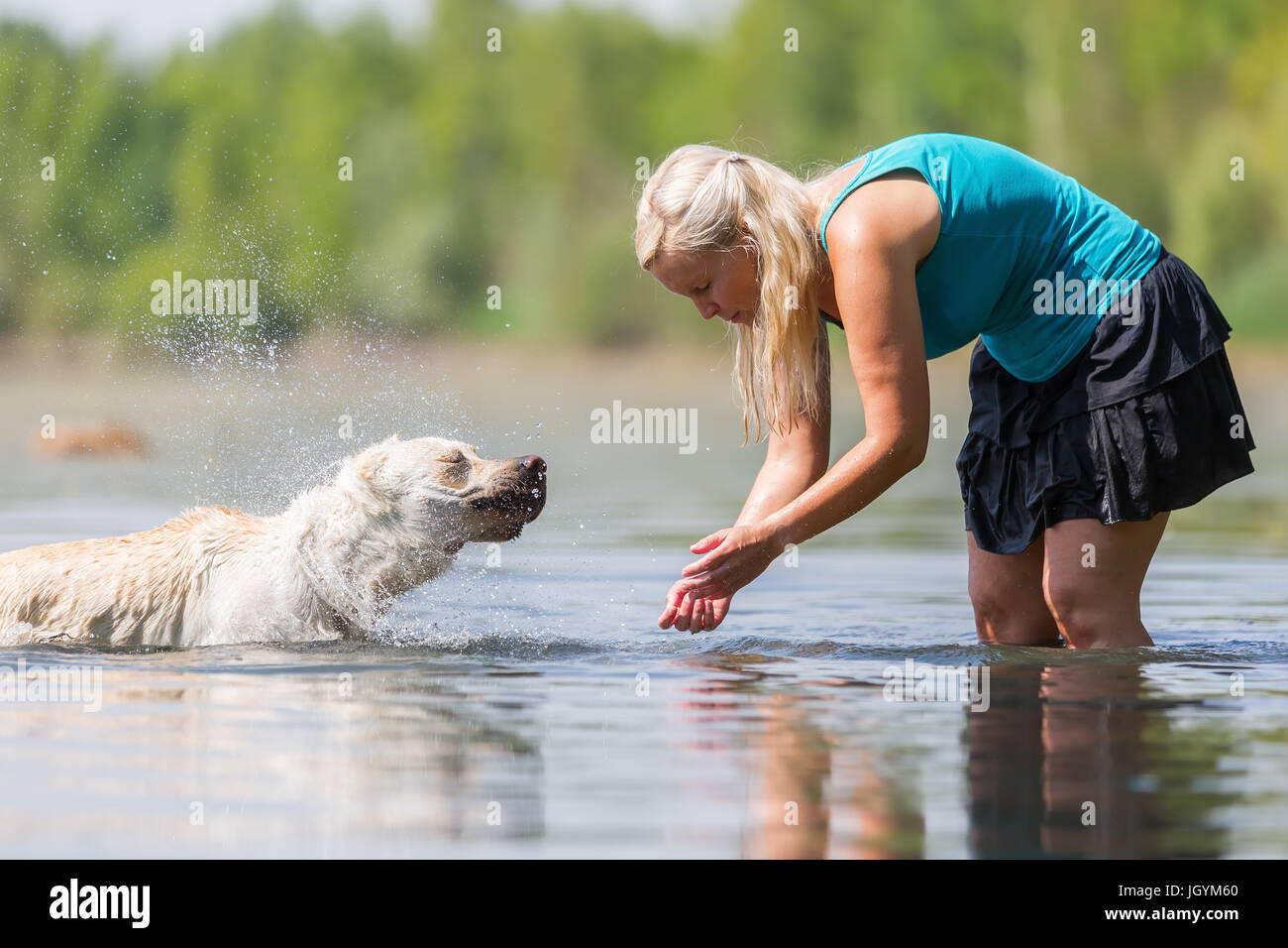 La donna gioca con un labrador cane nel lago Foto Stock