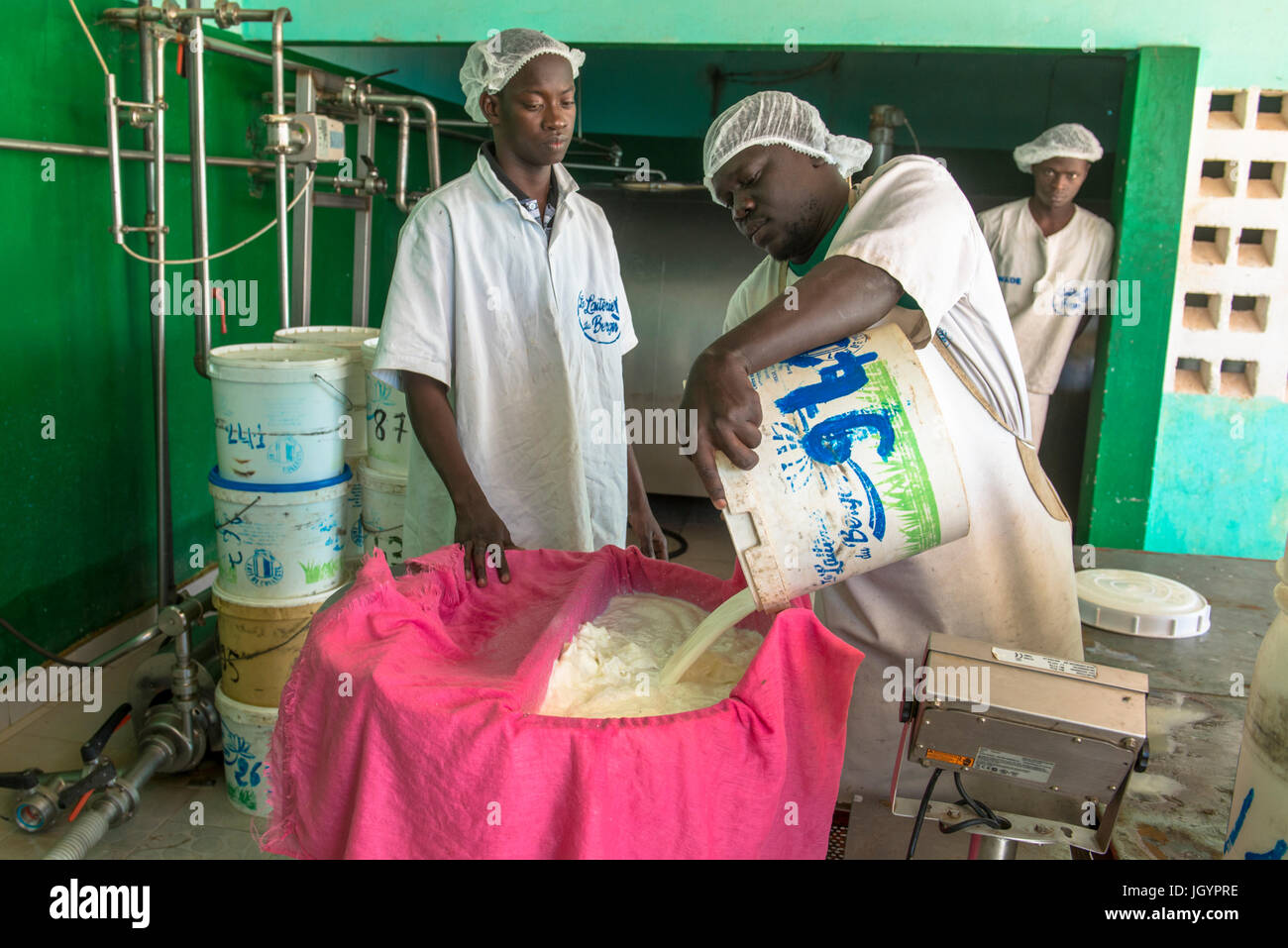 Il latte fresco raccolto in villaggi Peul è portato al caseificio fabbrica. La caseificio du Berger azienda. Il Senegal. Foto Stock