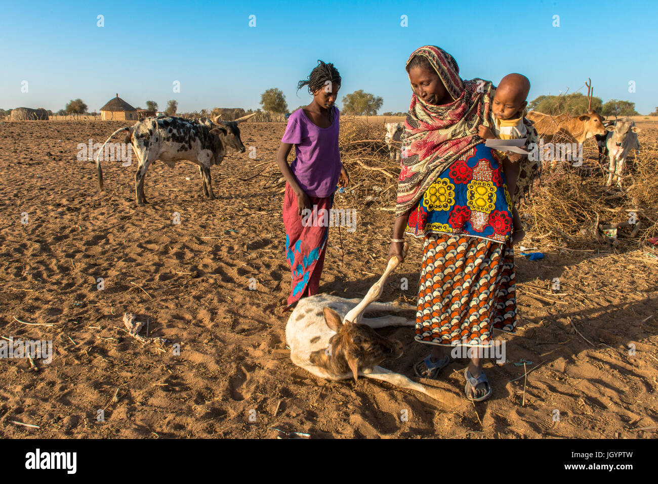 Peul allevatori bovini. Il Senegal. Foto Stock