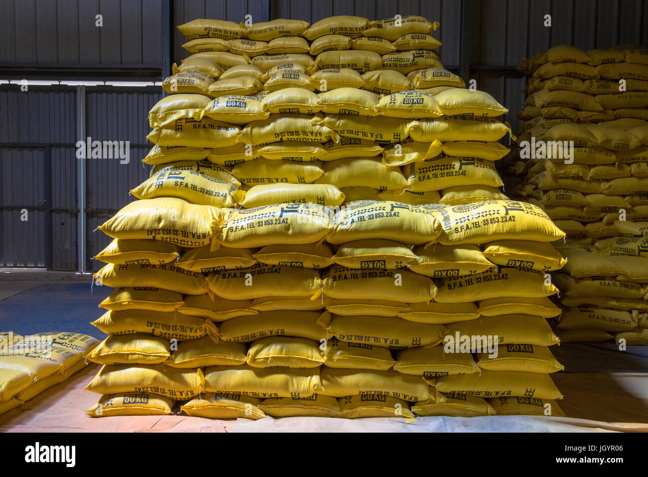 Lavorazione riso e l'imballaggio di fabbrica. Il Senegal. Foto Stock