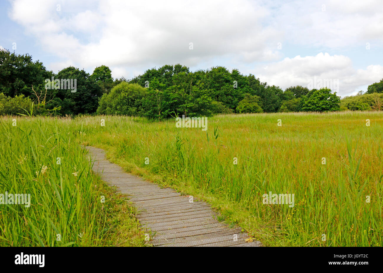 Una vista del lungomare di tutta la zona di sssi a southrepps comune, Norfolk, Inghilterra, Regno Unito. Foto Stock