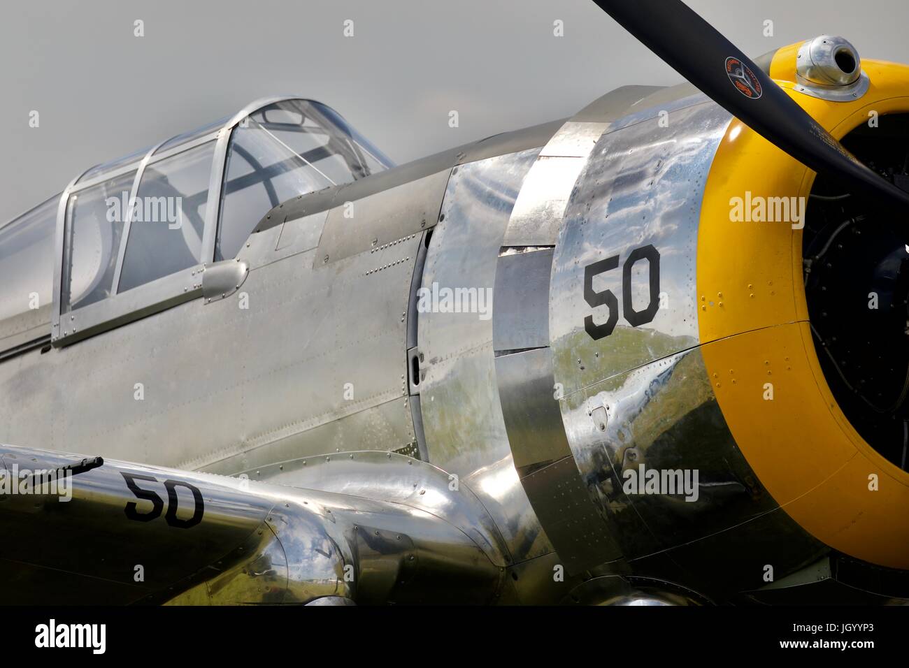 Curtiss-Wright P-36 in US Army Air Corps schema colori Foto Stock