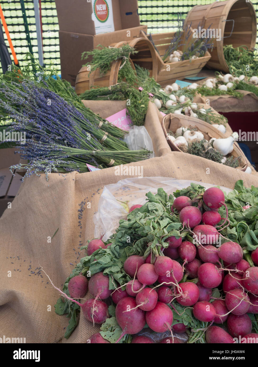 Verdure biologiche in vendita direttamente fuori dell'azienda. Mostra ravanelli,funghi, aglio e altre verdure fresche a foglia verde. Foto Stock
