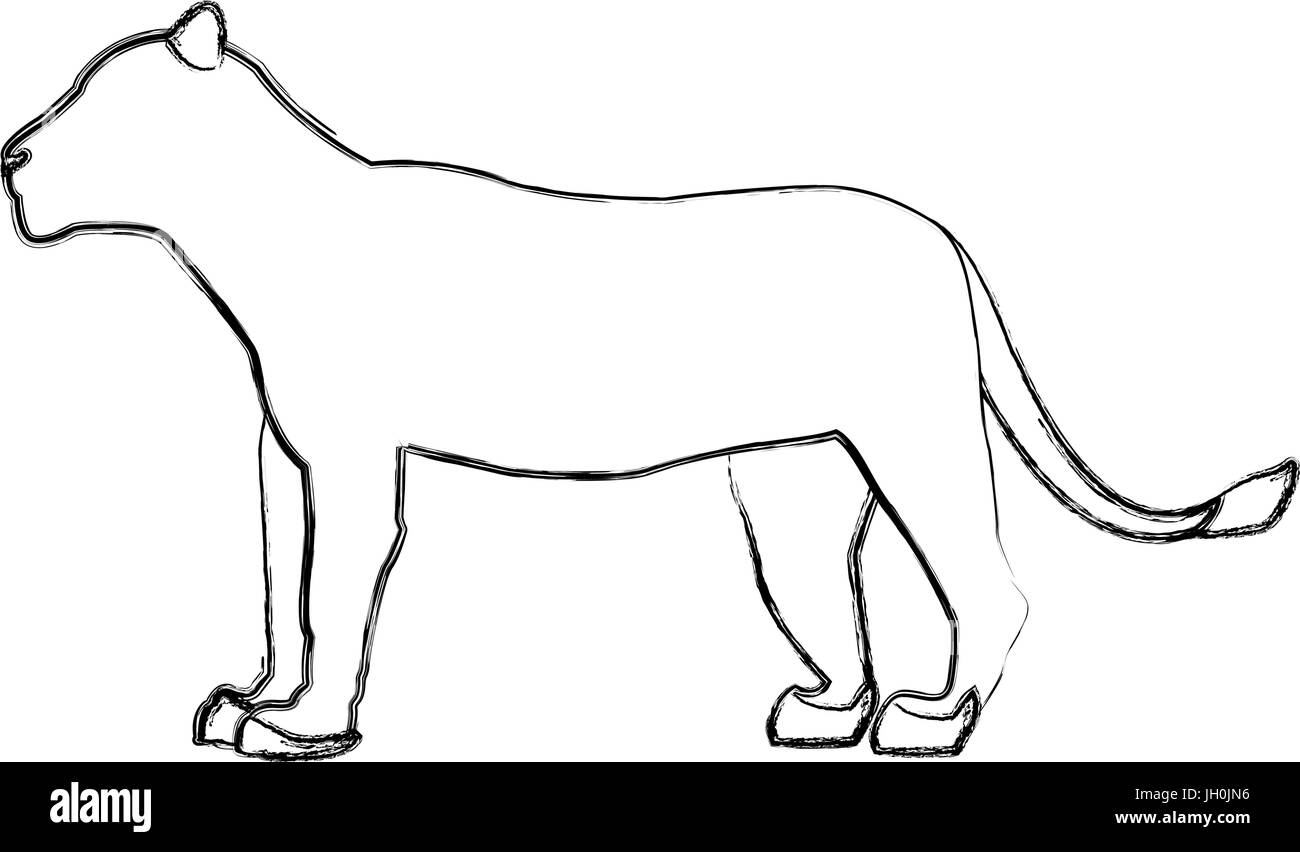 Femmina African Lion animale creatura coraggiosa Illustrazione Vettoriale