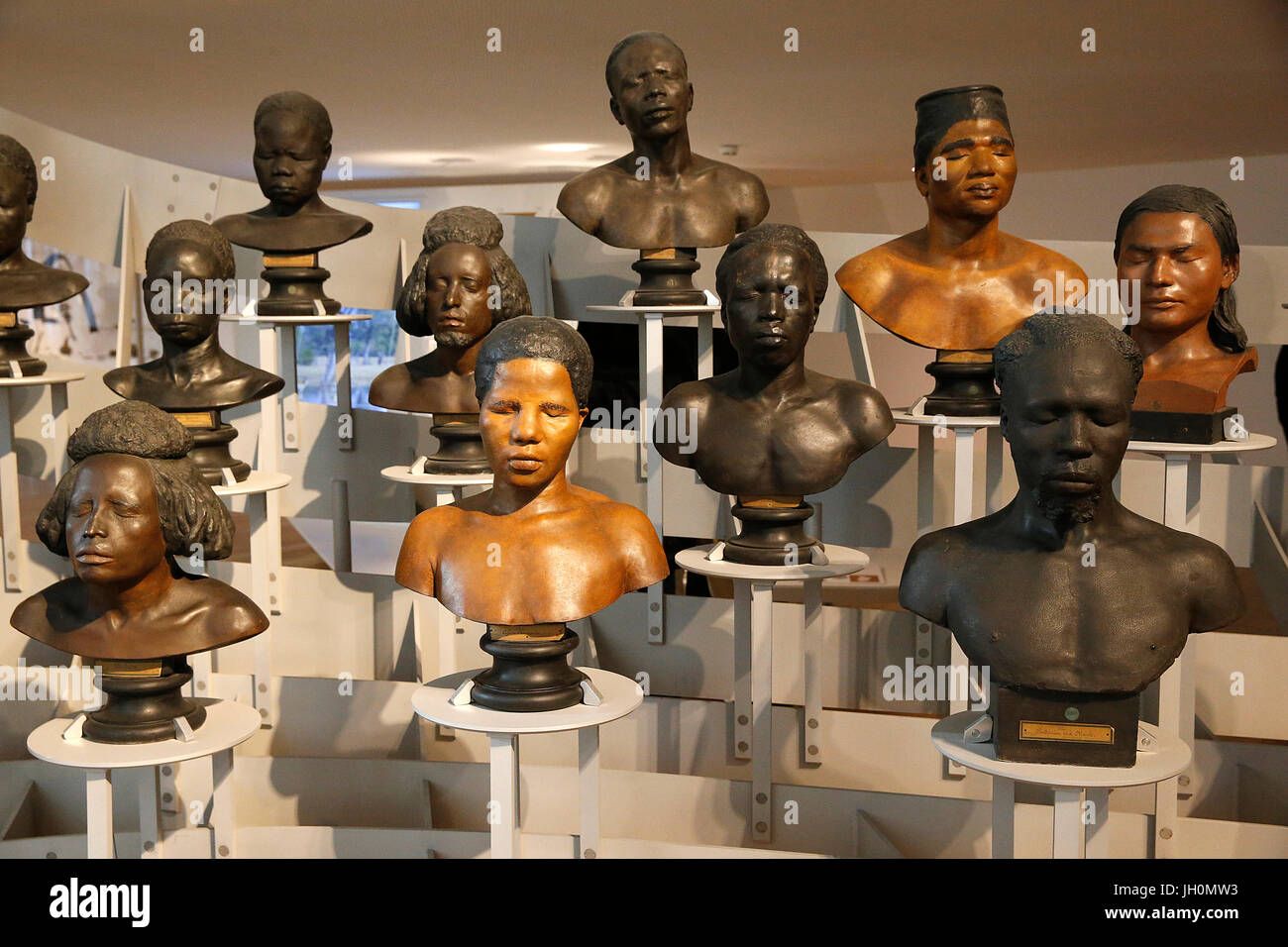 MusŽe de l'homme, Museo dell Umanità, Parigi. La diversità umana. La Francia. Foto Stock