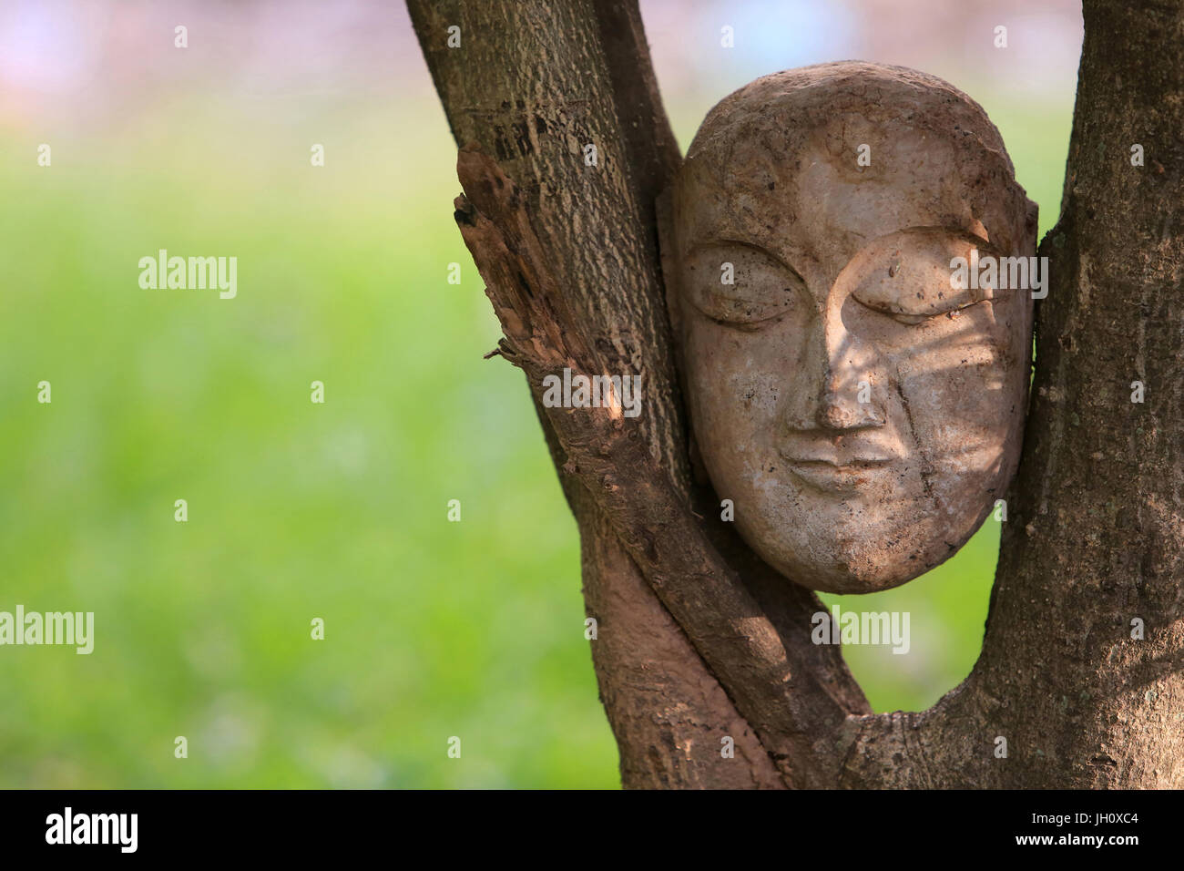 Buddha. Masq. Foto Stock