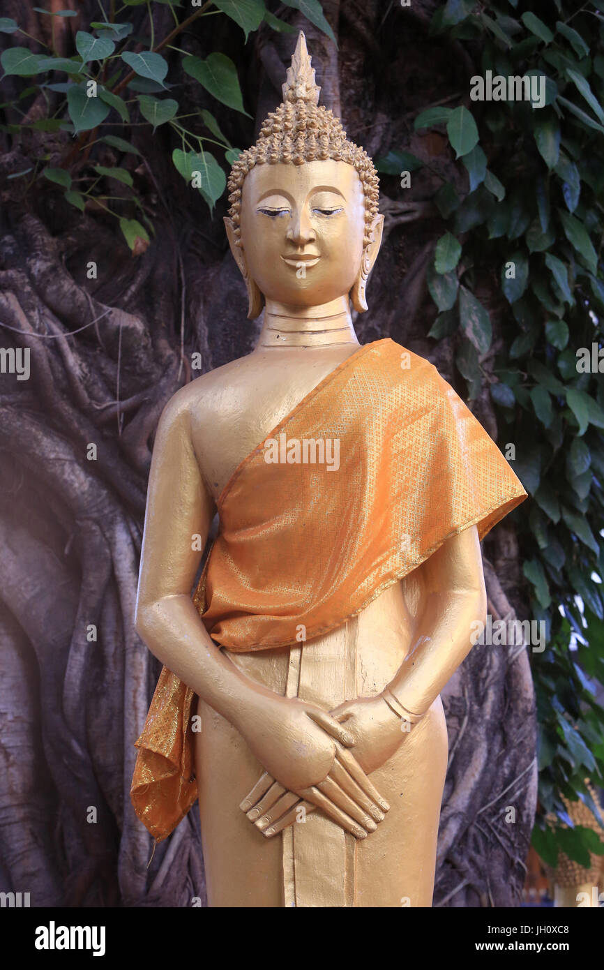 Il Buddha Domenica. Wat Inpeng. Vientiane. Laos. Foto Stock