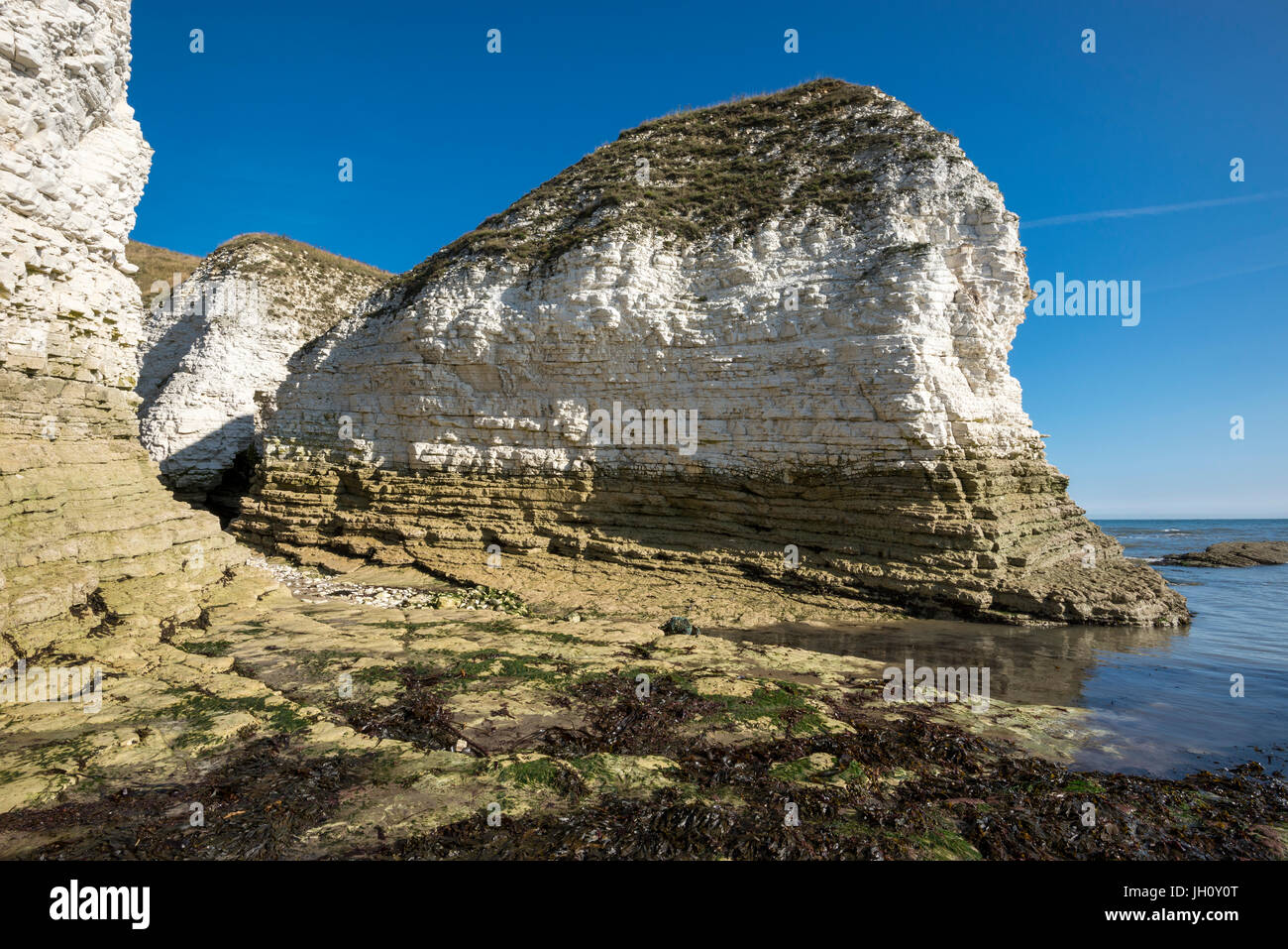 Bianco gesso scogliere a Selwicks bay, Flamborough, North Yorkshire. Foto Stock