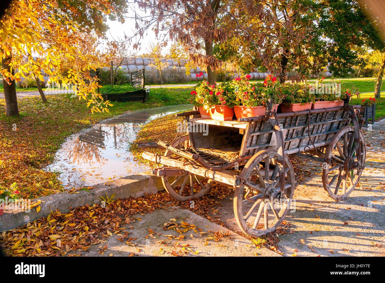 Colore di autunno con una vecchia fattoria display carro, riempito di fiori da un flusso in una fattoria tradizionale a Kalocsa, Ungheria Foto Stock