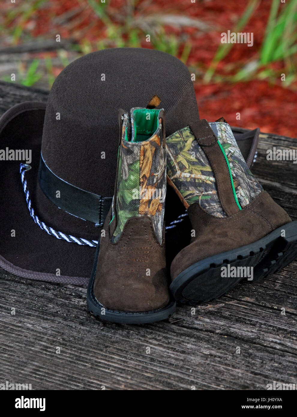 Usura occidentale Foto Stock