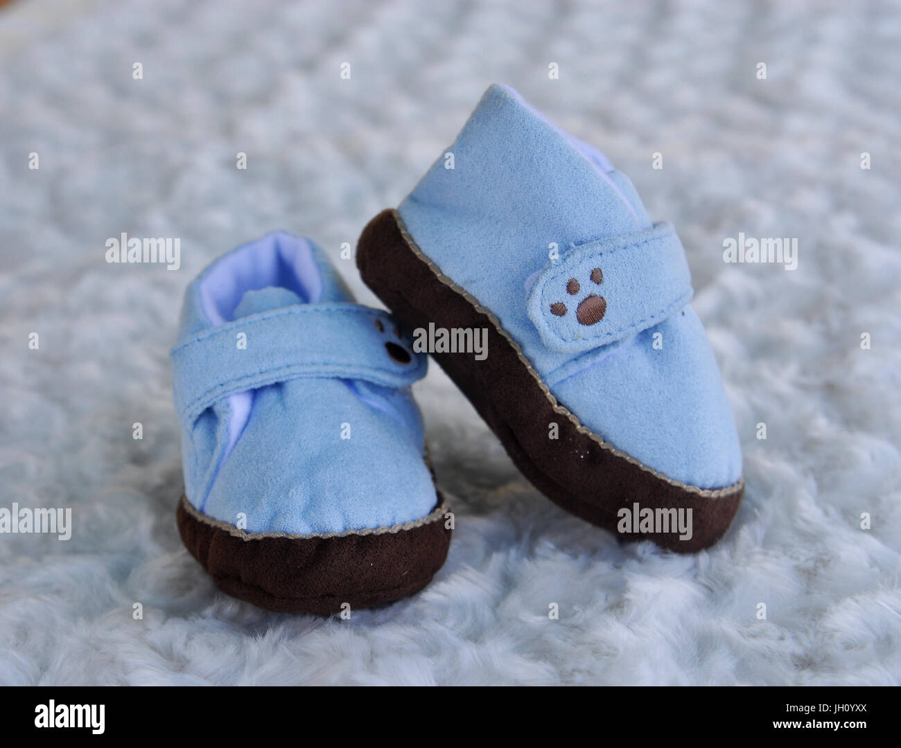 Usura occidentale Foto Stock