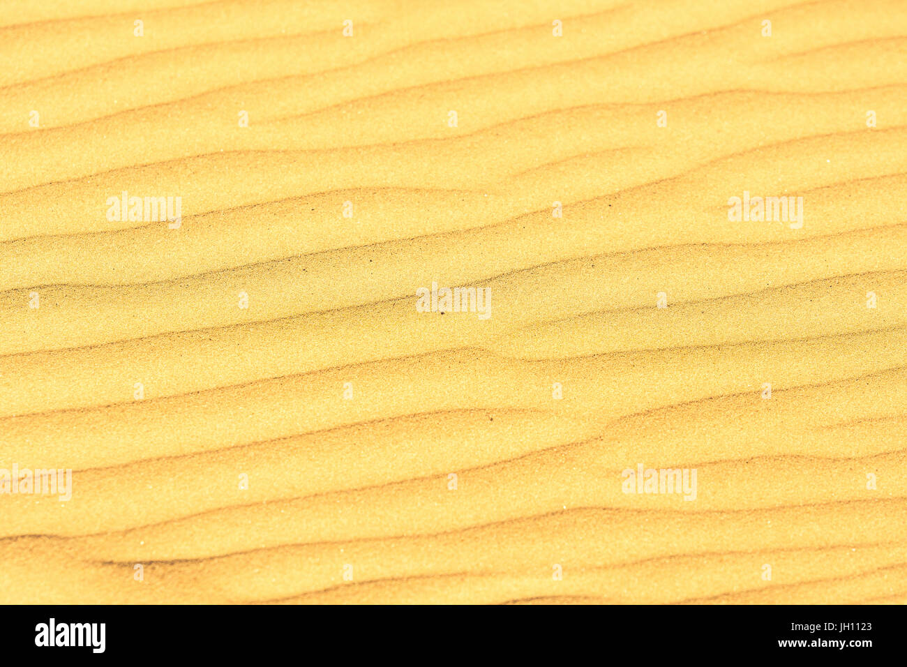 In prossimità della spiaggia di sabbia Foto Stock