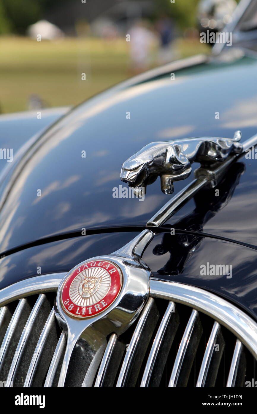 Badge e 'saltando gatto' mascotte del cofano di una Jaguar Mk 2 3,8 litro Foto Stock