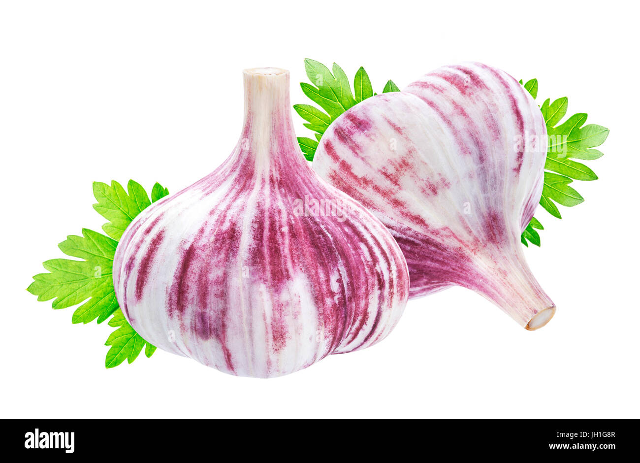 Aglio isolato. Aglio intero, un segmento ed il chiodo di garofano e isolato su sfondo bianco Foto Stock