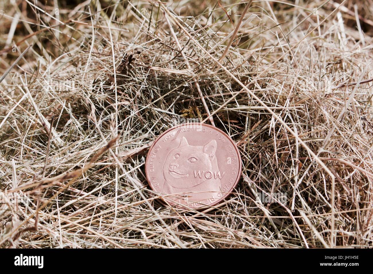 Valuta digitale fisico dogecoin ottone medaglia con cane sull'erba. Foto Stock