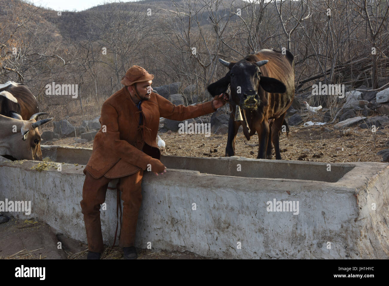 Persona di nord-est, abbigliamento; cowboy, 2017, Caatinga, Boa Vista, Paraíba, Brasile Foto Stock