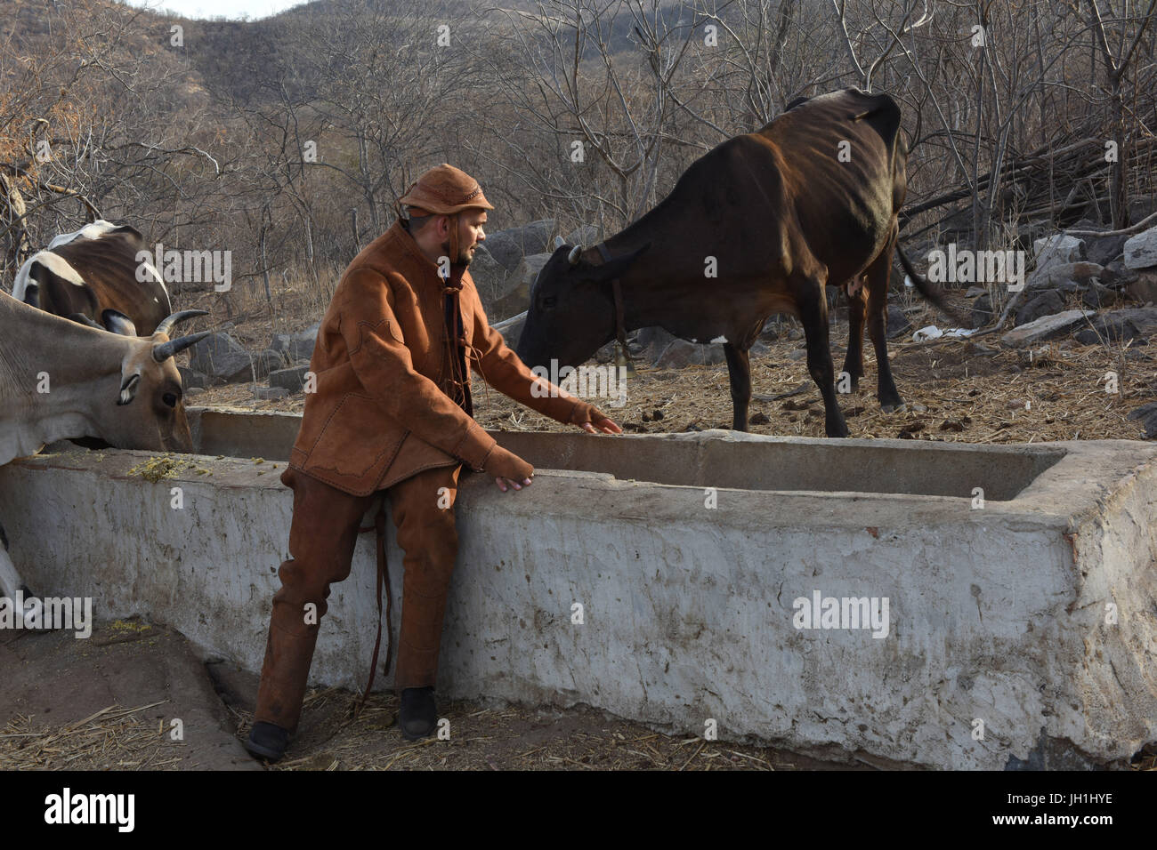 Persona di nord-est, abbigliamento; cowboy, 2017, Caatinga, Boa Vista, Paraíba, Brasile Foto Stock