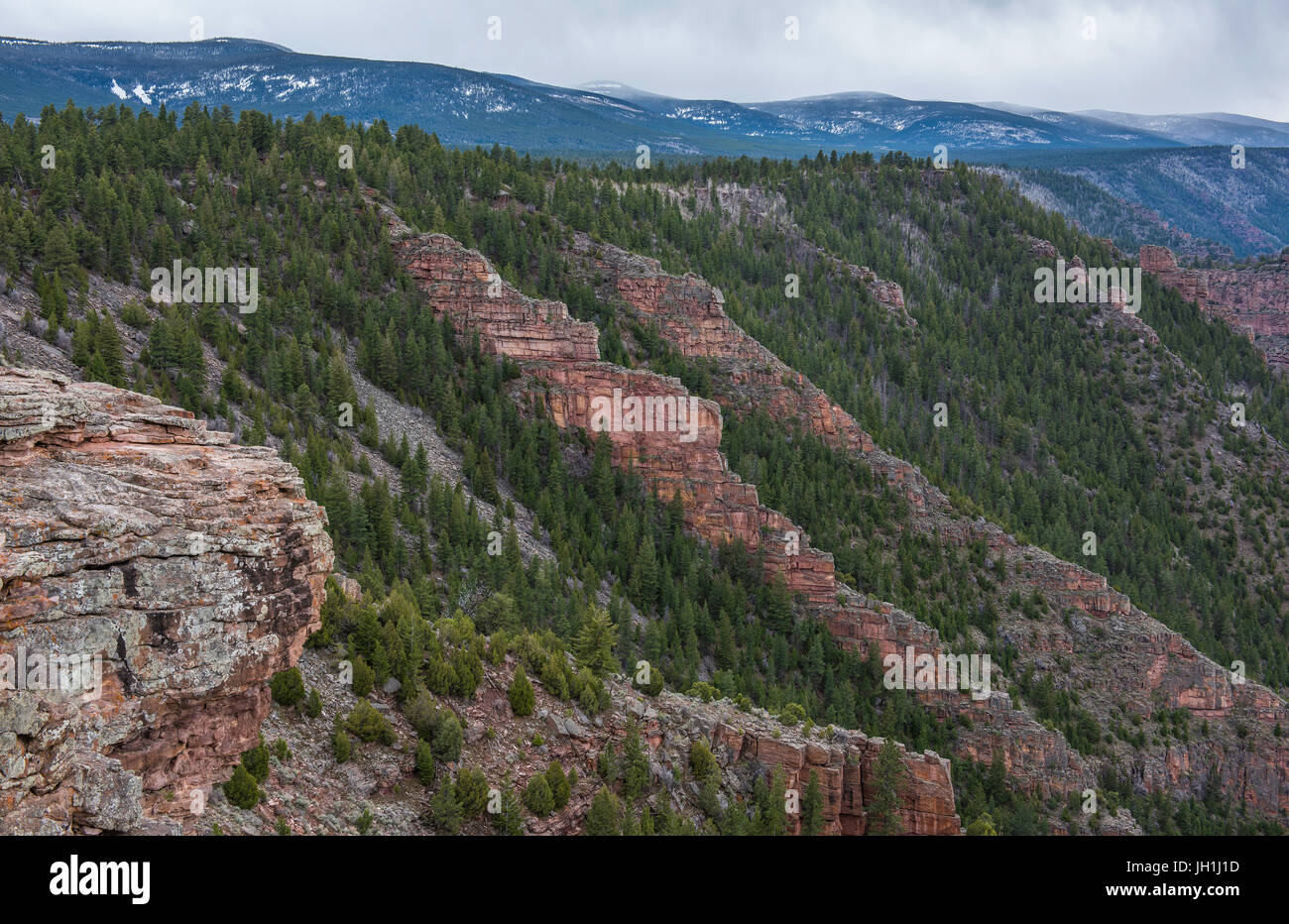 Flaming Gorge National Recreation Area, Utah, Stati Uniti d'America da Bruce Montagne Foto Stock