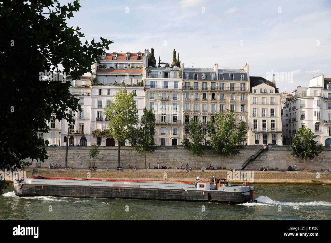 Chiatta sul fiume Senna. La Francia. La Francia. Foto Stock