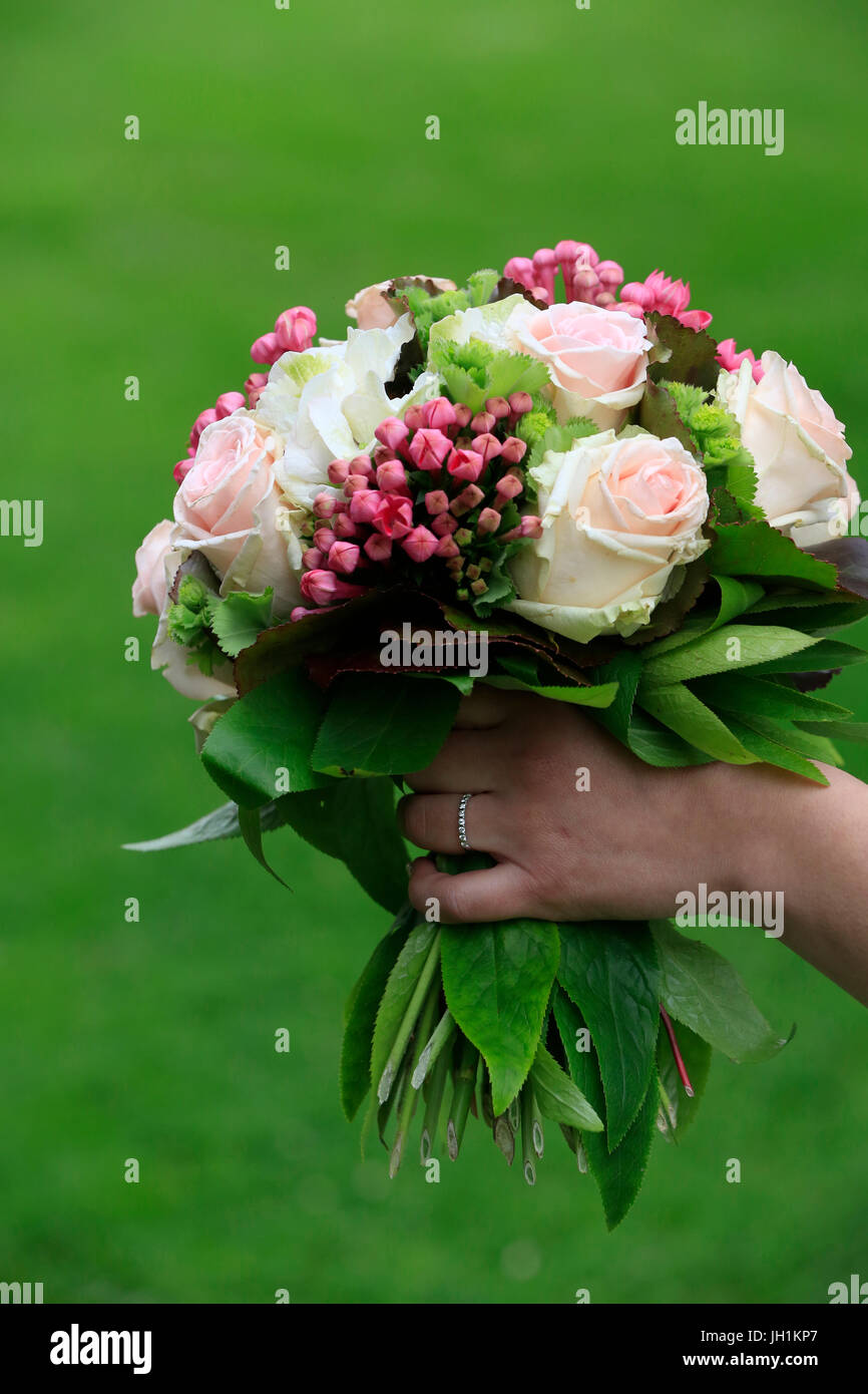 Sposa azienda bouquet di rose. Moulins. La Francia. Foto Stock