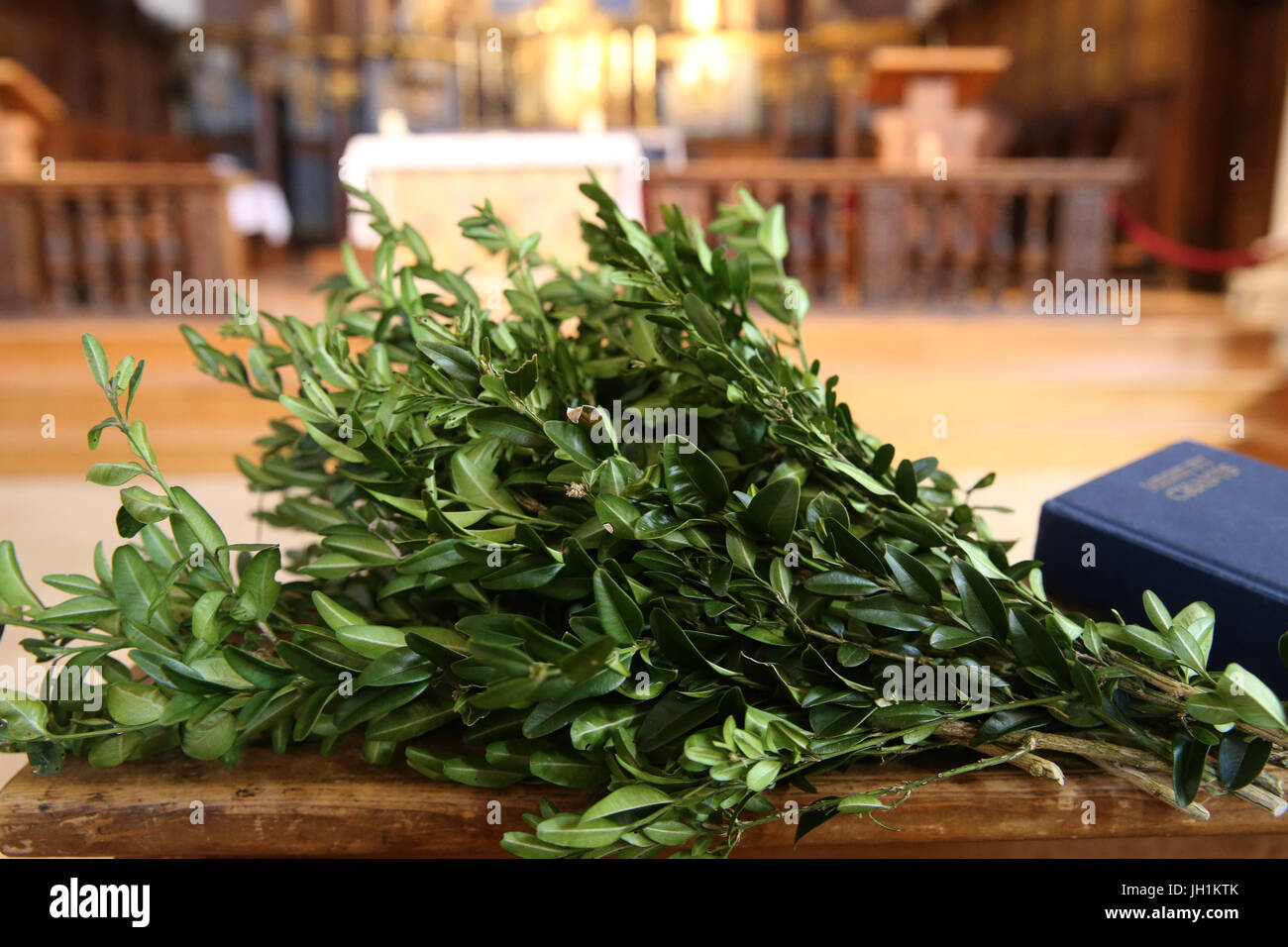 Cosa Si Mangia La Domenica Delle Palme La domenica delle palme immagini e fotografie stock ad alta risoluzione