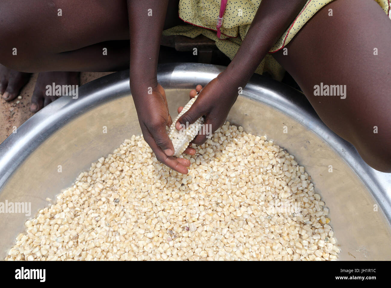 L'Africa. Lavoratore agricolo interessato. Le mani la trebbiatura del mais. Il Togo. Foto Stock